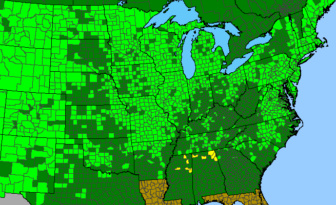 The range of Comandra umbellata